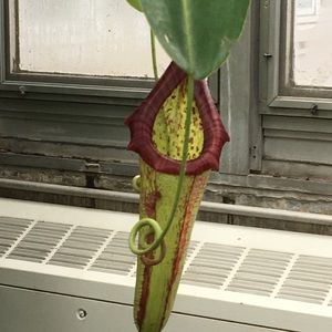 Meet your Posher, Jill